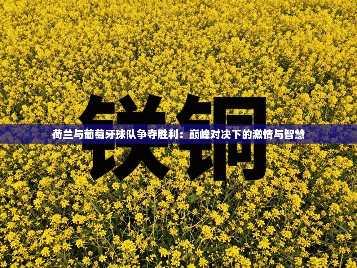 荷兰与葡萄牙球队争夺胜利：巅峰对决下的激情与智慧  第1张