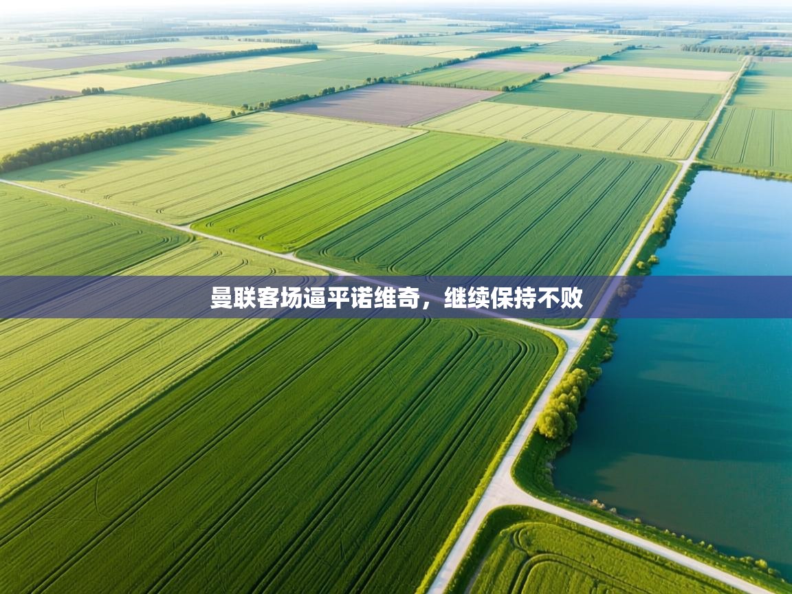 曼联客场逼平诺维奇，继续保持不败