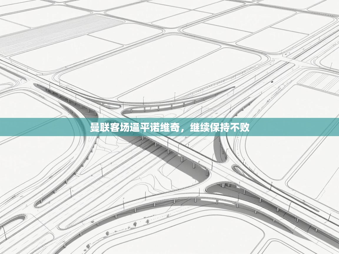 曼联客场逼平诺维奇,继续保持不败 第2张