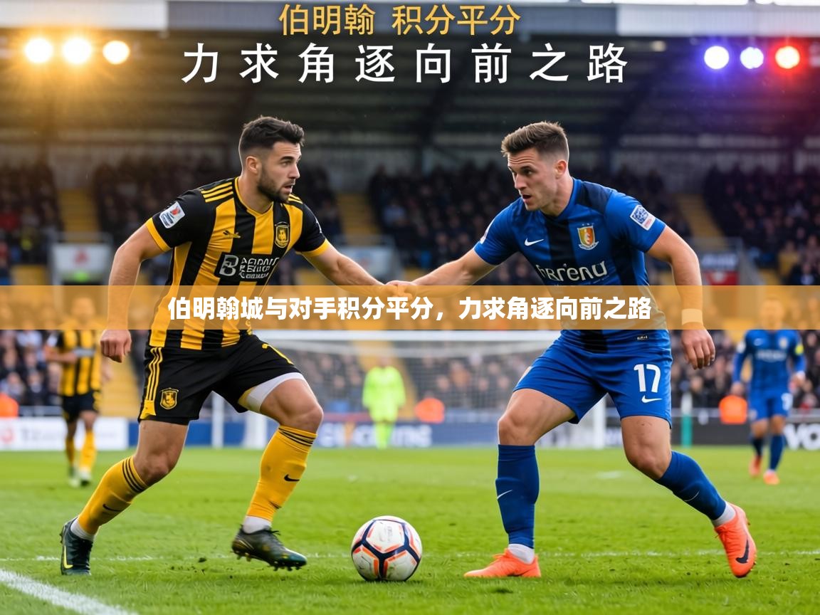 伯明翰城与对手积分平分，力求角逐向前之路  第2张